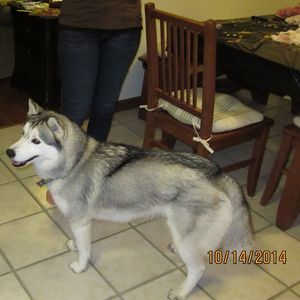 Meet your Posher, Wanda